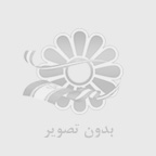 حمل و نقل عمده چيست